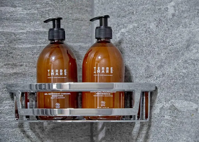 Lejlighed Bank House L 104 - Griwa Rent Interlaken